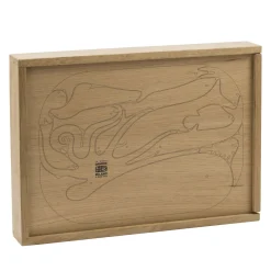 16 Pesci Wooden Puzzle by Enzo Mari