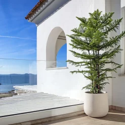 Algarve Gray Vase