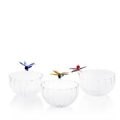 Ali in Volo Glass Bowl with Yellow Dragonfly