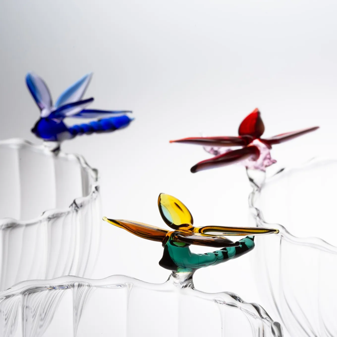Ali in Volo Glass Bowl with Pink Dragonfly