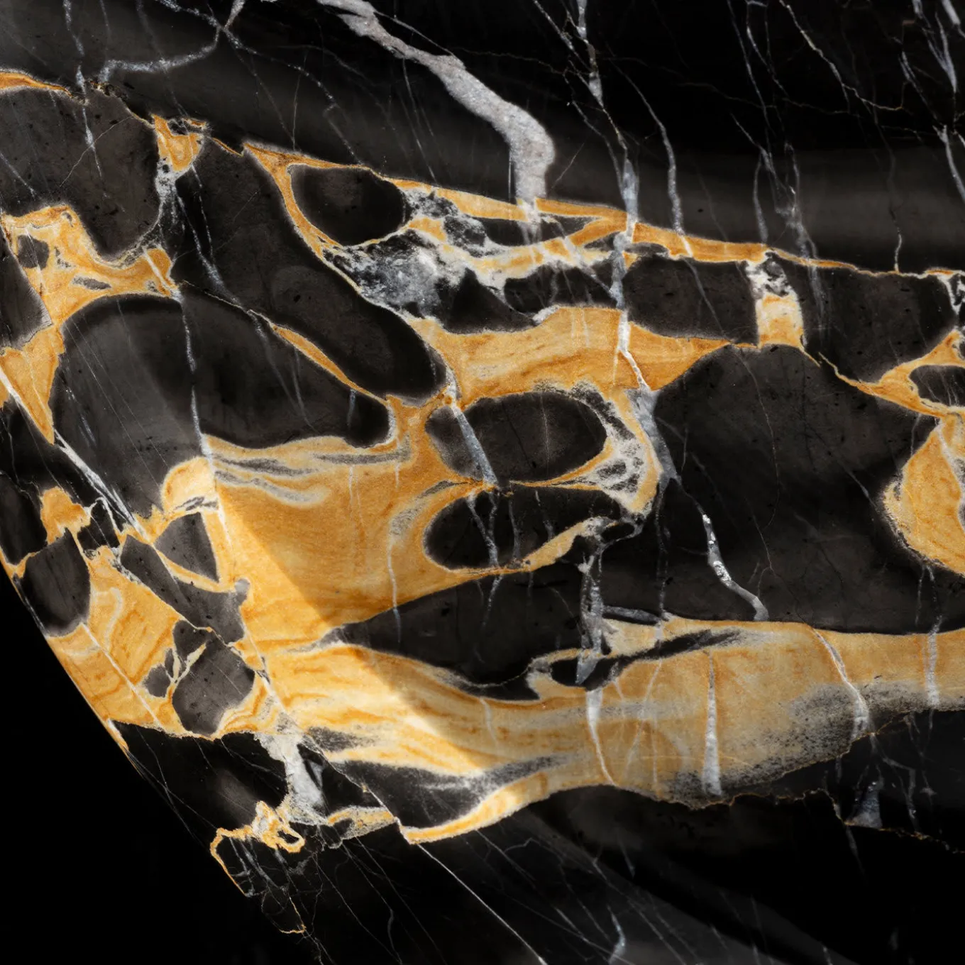 Amaltea Black Portoro Centerpiece by Ivan Colominas