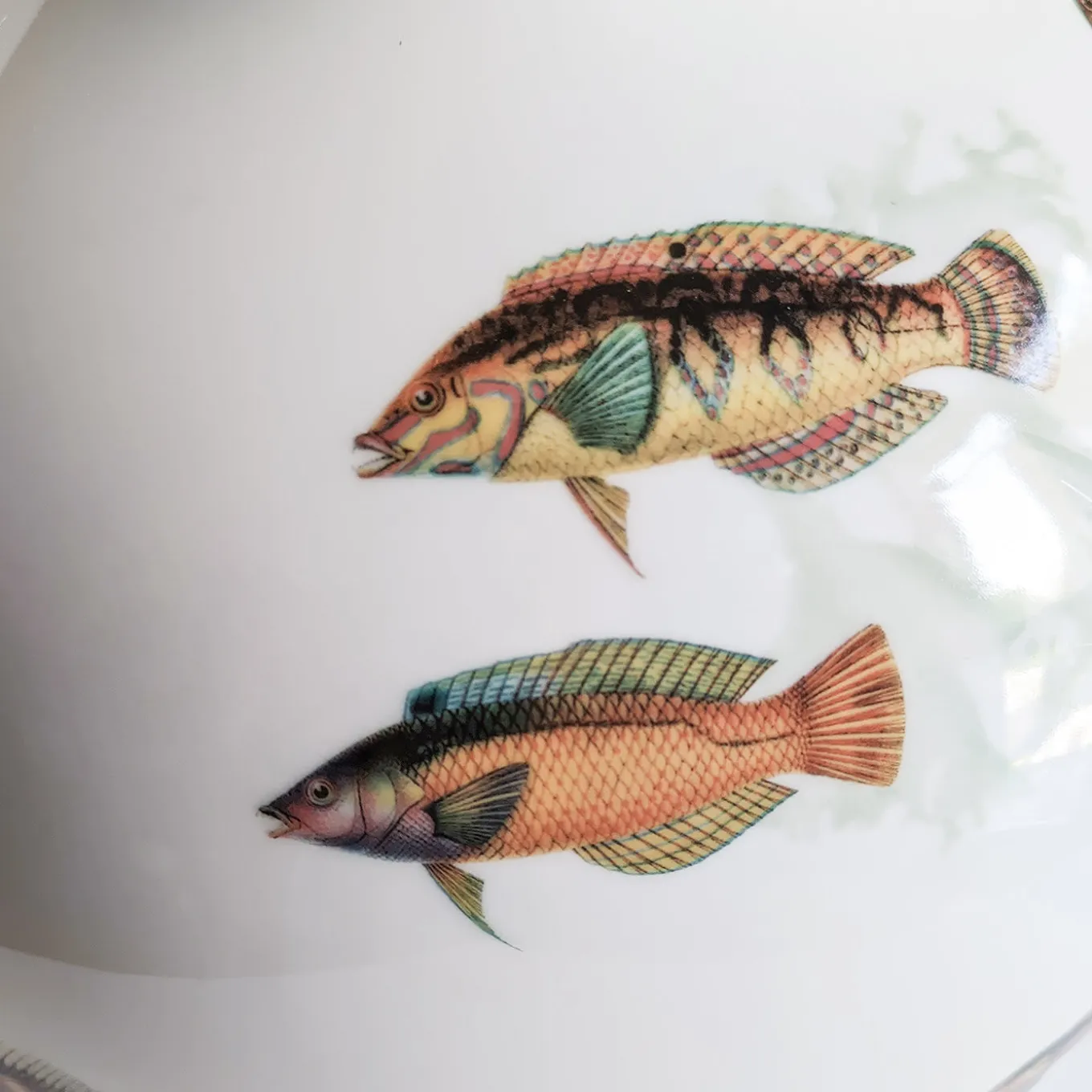 Amami Amphora Porcelain Vase With Tropical Fish H32Cm