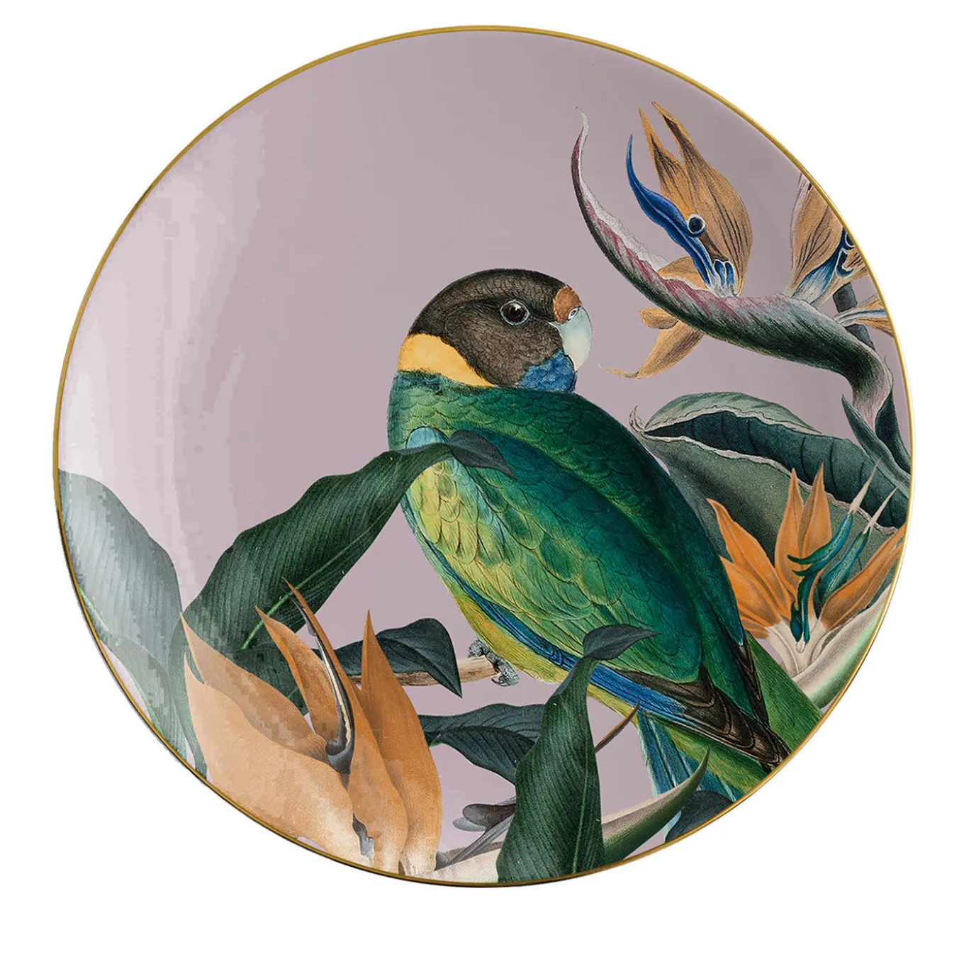 Animalia Set Of 2 Porcelain Bread Plates With Parot