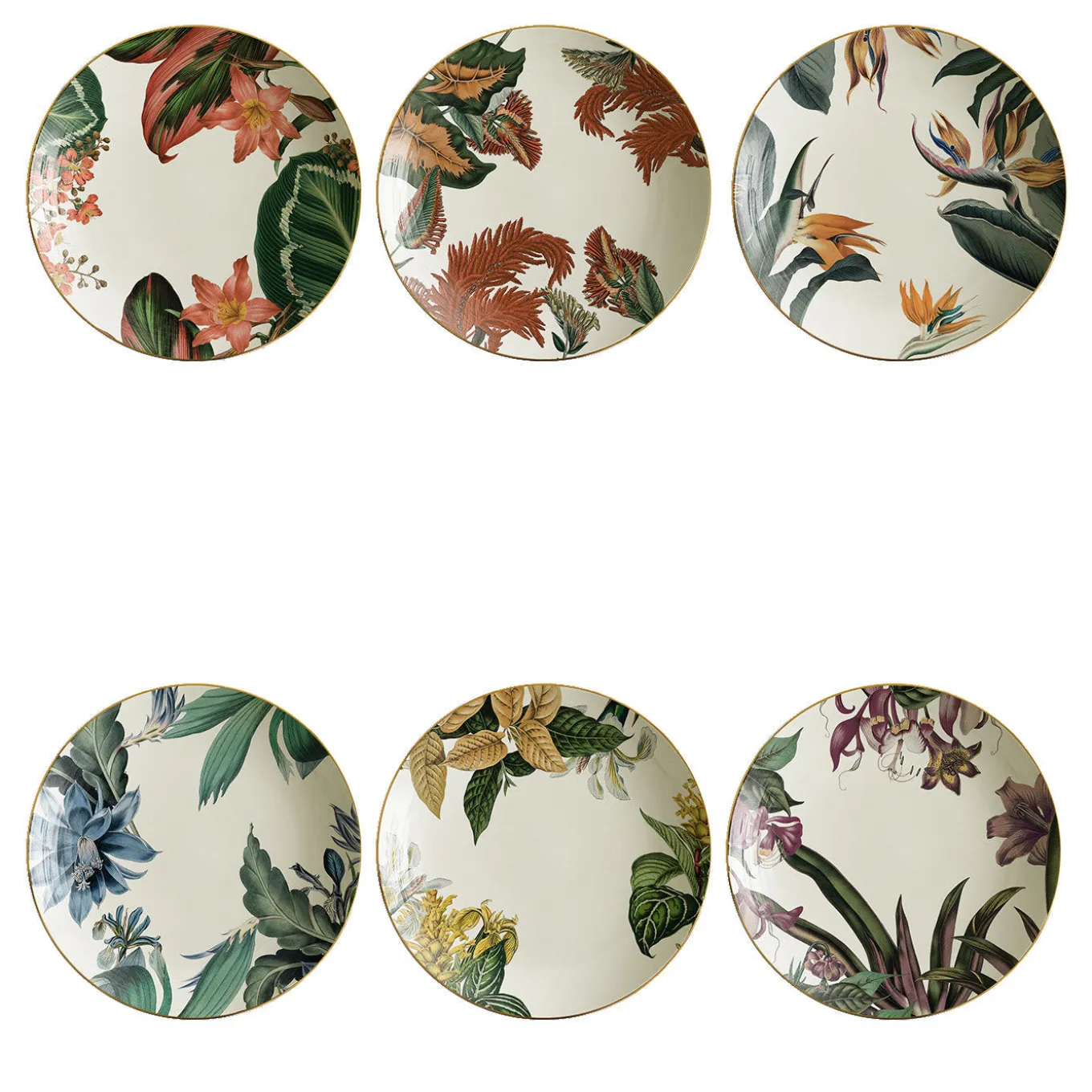 Animalia Set Of 6 Porcelain Soup Plates With Exotic Animals
