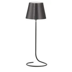 Antares Circle Titanium & Brass Wireless Table Lamp by I. Harari