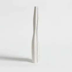 Antithesis Spinae Bottle