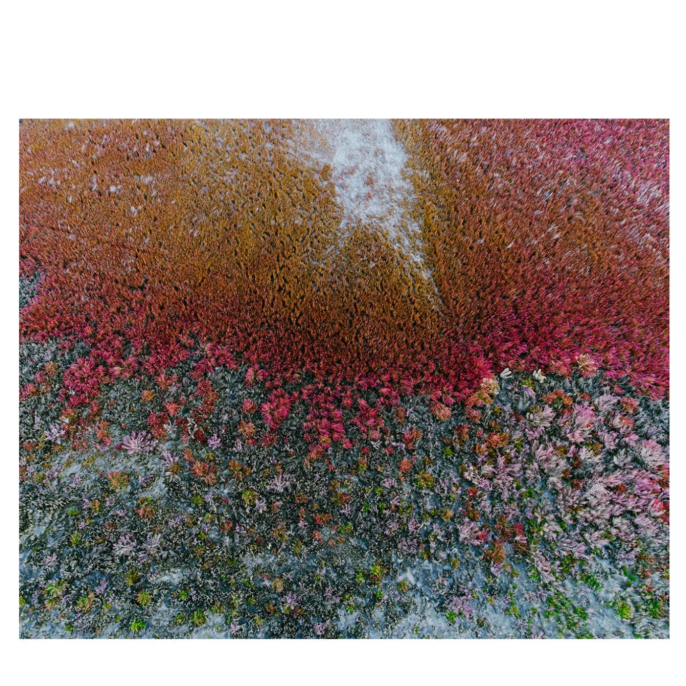 Aralsk #2 Photograph