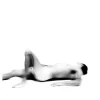 Ar-rival - Fine Art Photograph