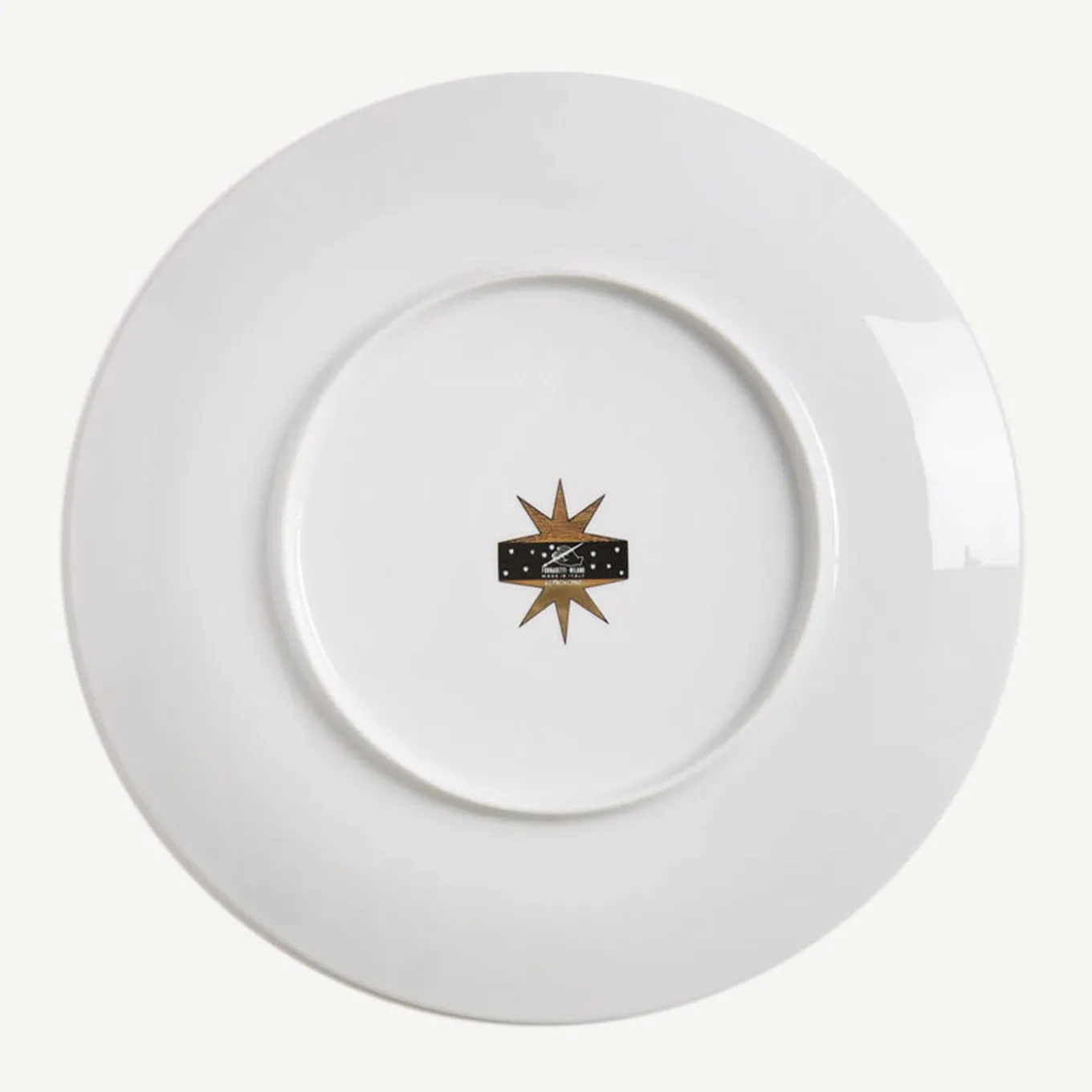 Astronomici Decorative Plate