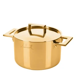 Attiva Gold 24 cm Pot with Lid