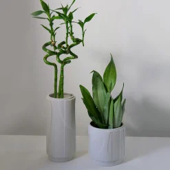 Aura Big Vase