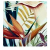 Bali Wallpaper with Tropical Print