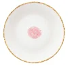 Berry Set of 2 Dinner Plates with Crackled Rim
