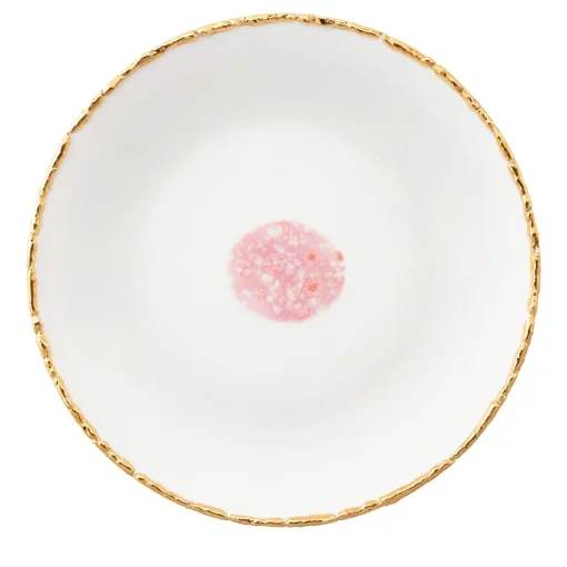 Berry Set of 2 Dinner Plates with Crackled Rim