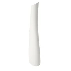 Big Bottle Vase