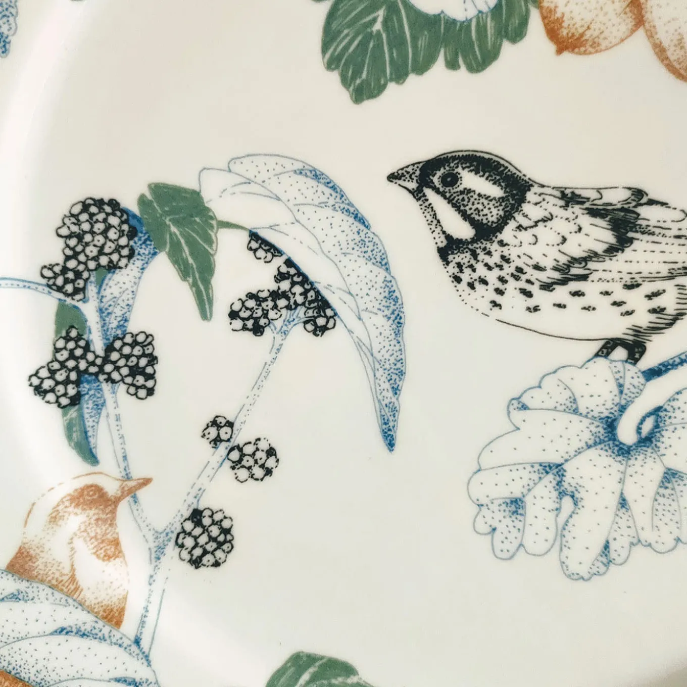 Bird Song Polychrome Dinner Plate #1
