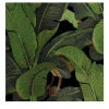 Black and Green Banana Leaf Tropical Rainforest Wallpaper