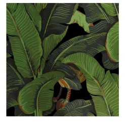 Black and Green Banana Leaf Tropical Rainforest Wallpaper