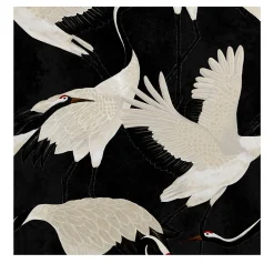 Black Heron Asian Wallpaper