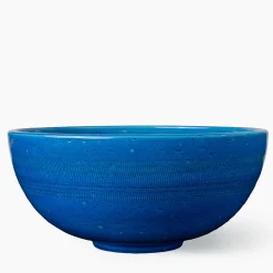Bolo Blue Decorative Bowl by Aldo Londi