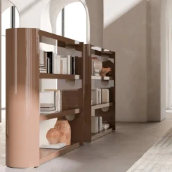 Bookcase With Lacquered Structure