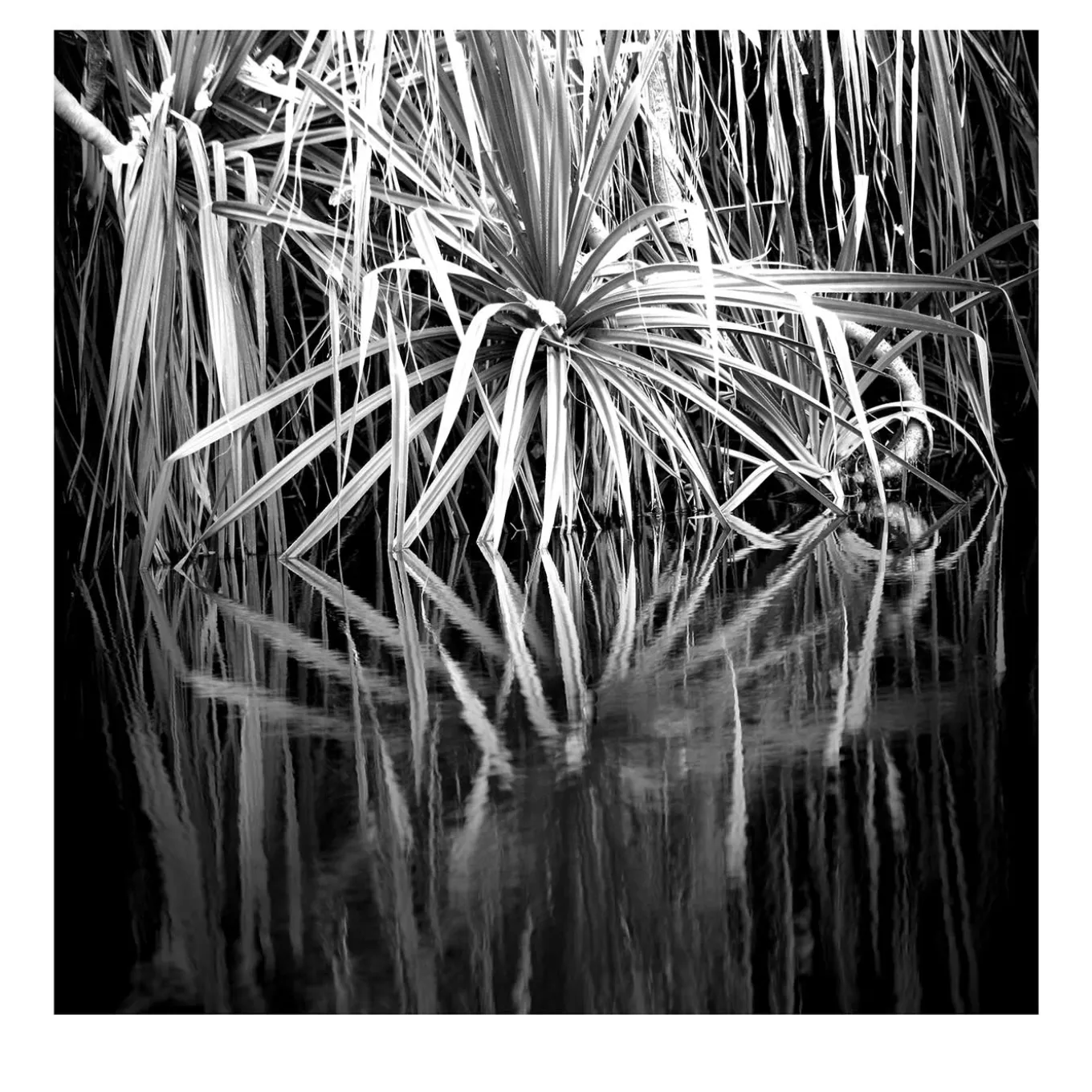 Bullo River Photograph