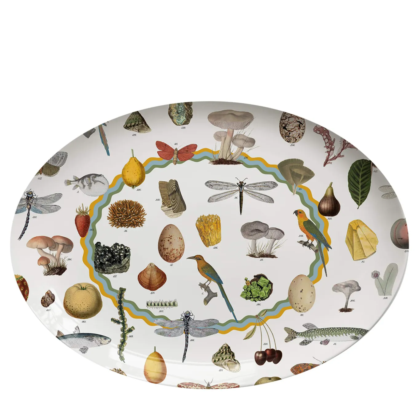 Cabinet De Curiosités Oval Porcelain Platter