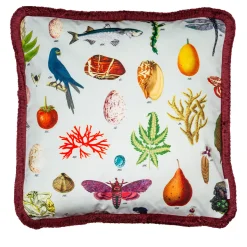 Cabinet De Curiosités Velvet Cushion With Natural Elements #1