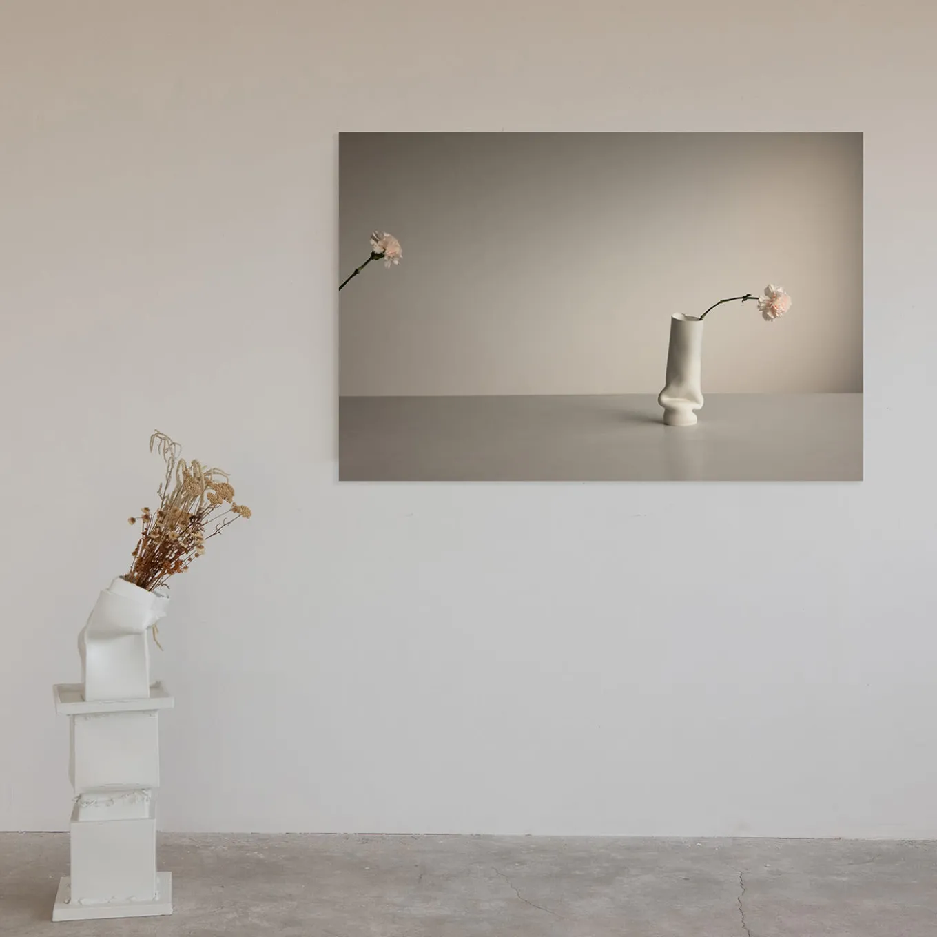 Carnation in Asiago Limited Edition Photograph