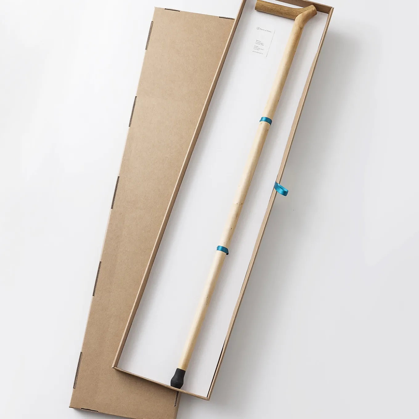 Castello 3968 Walking Stick by Giulio Iacchetti