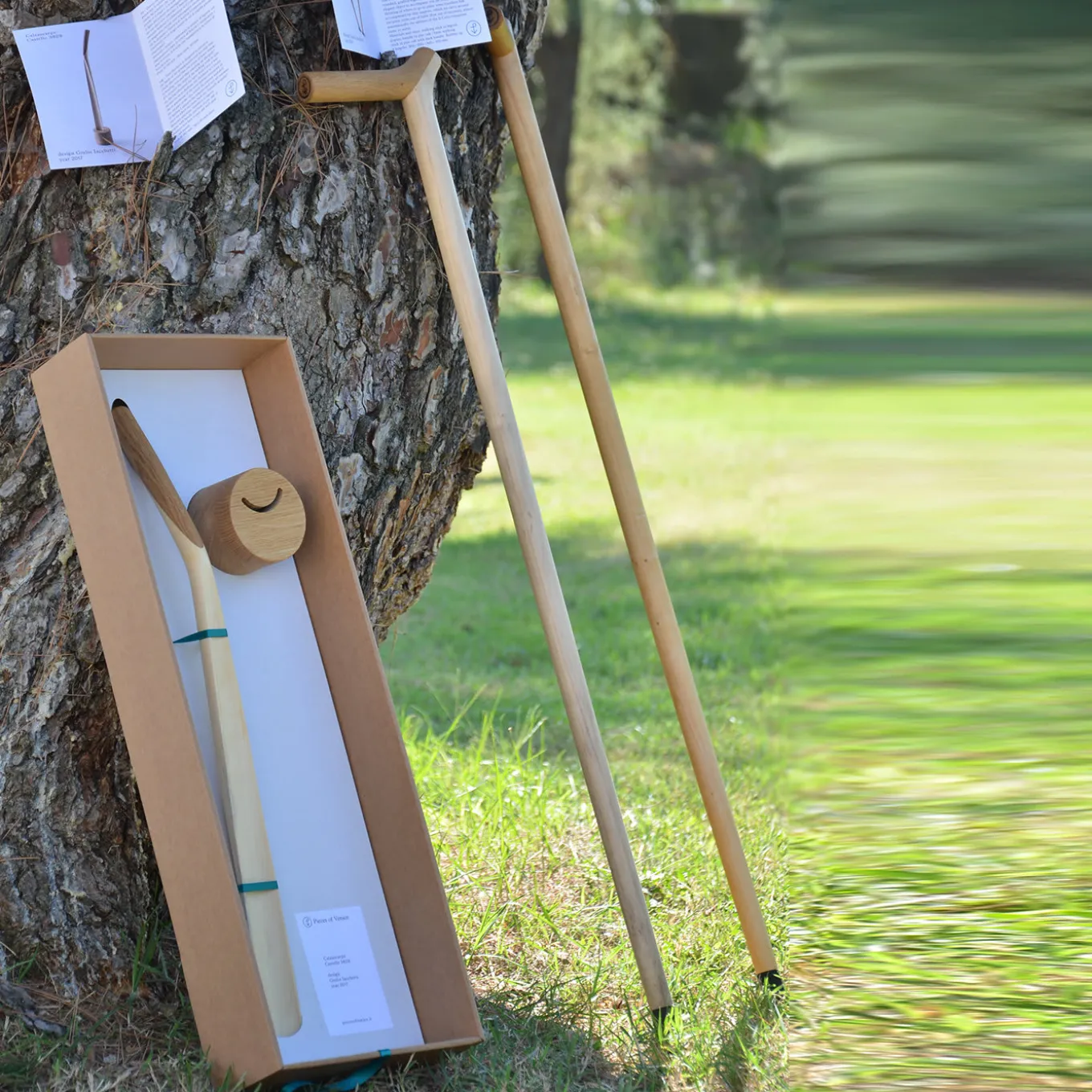 Castello 3968 Walking Stick by Giulio Iacchetti