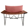 Caterina Pink and brown Velvet Lounge Chair