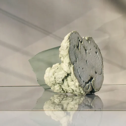 Catharsis Sculptural Sage Glass Decorative Bowl