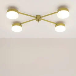 Celeste Aurora Ceiling/Wall Light