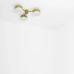 Celeste Epiphany Ceiling/Wall Light