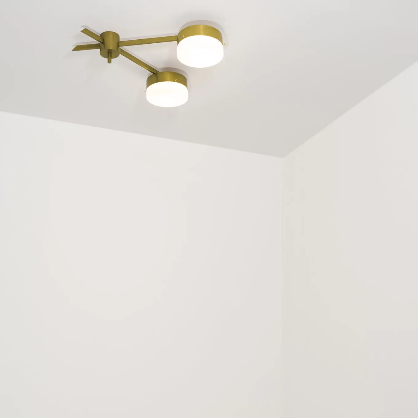 Celeste Serendipity Ceiling/Wall Light