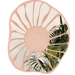 Cesareo Large Pink Mirror