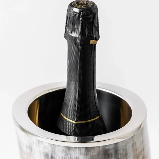 Champagne Holder