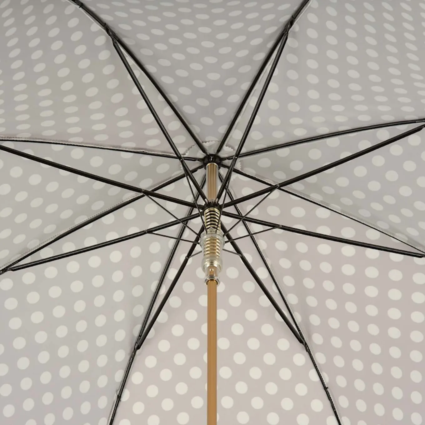 Chihuahua Umbrella with Dots