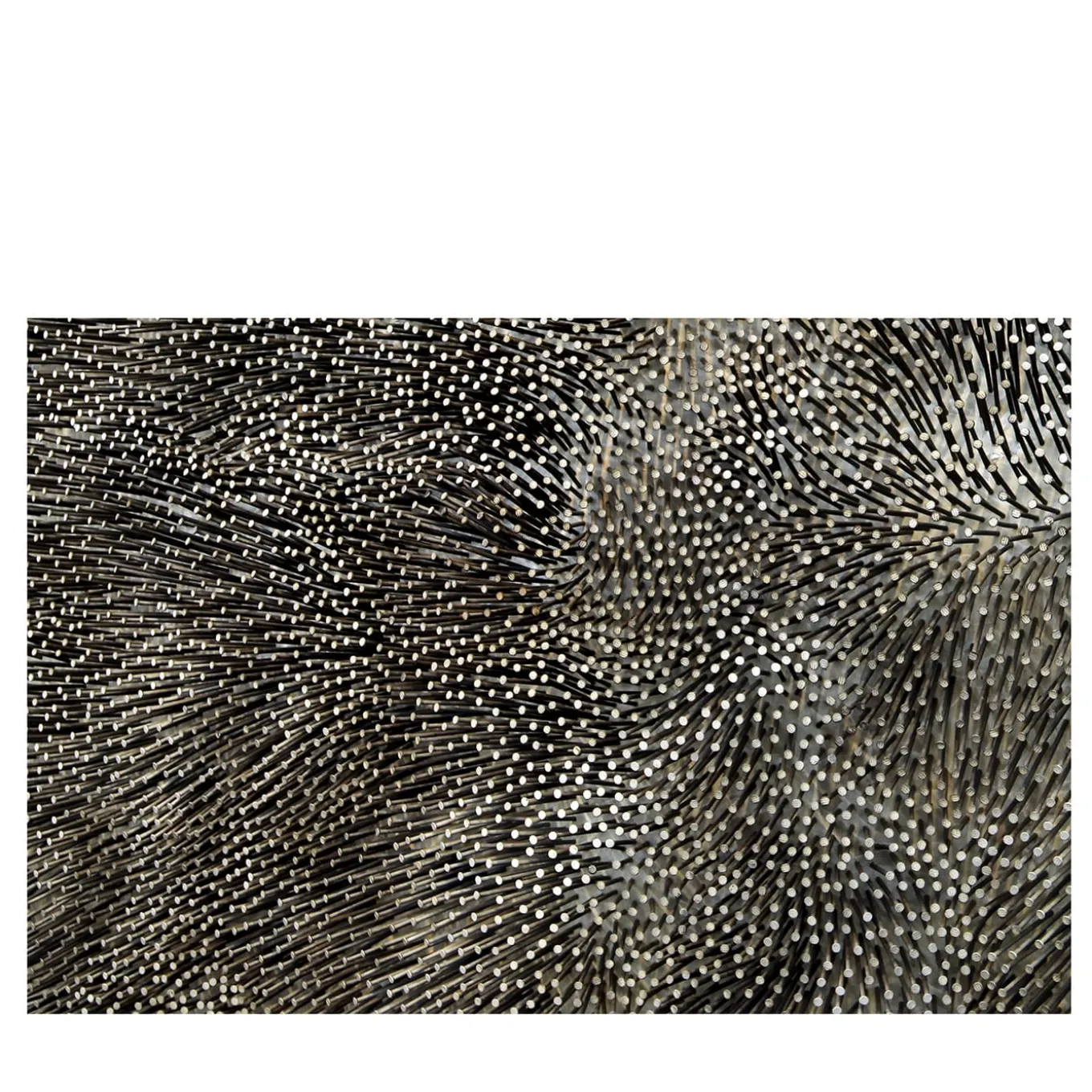 Chiodi #5 Photograph