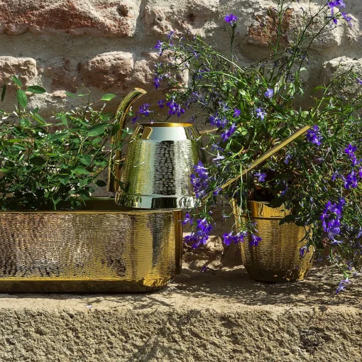 Ciccio Watering Can