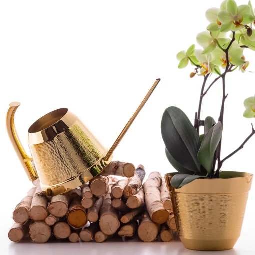 Ciccio Watering Can