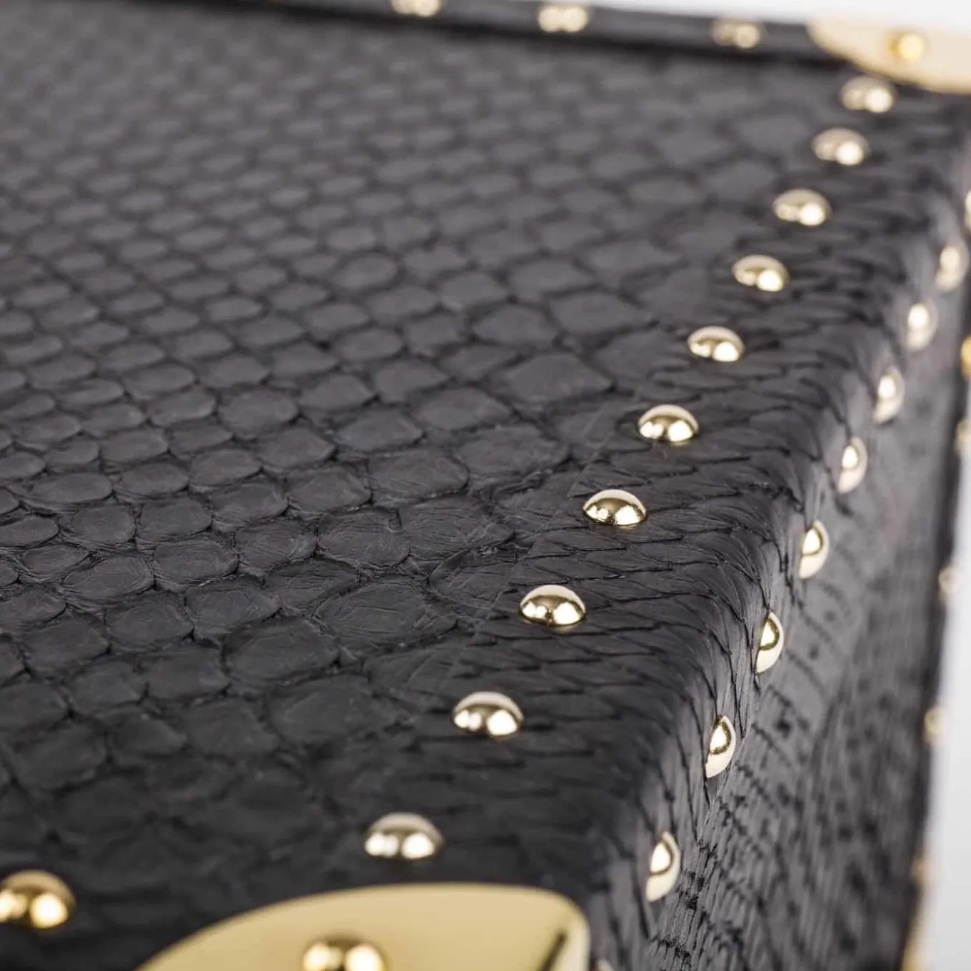 Cigars Exotic Humidor