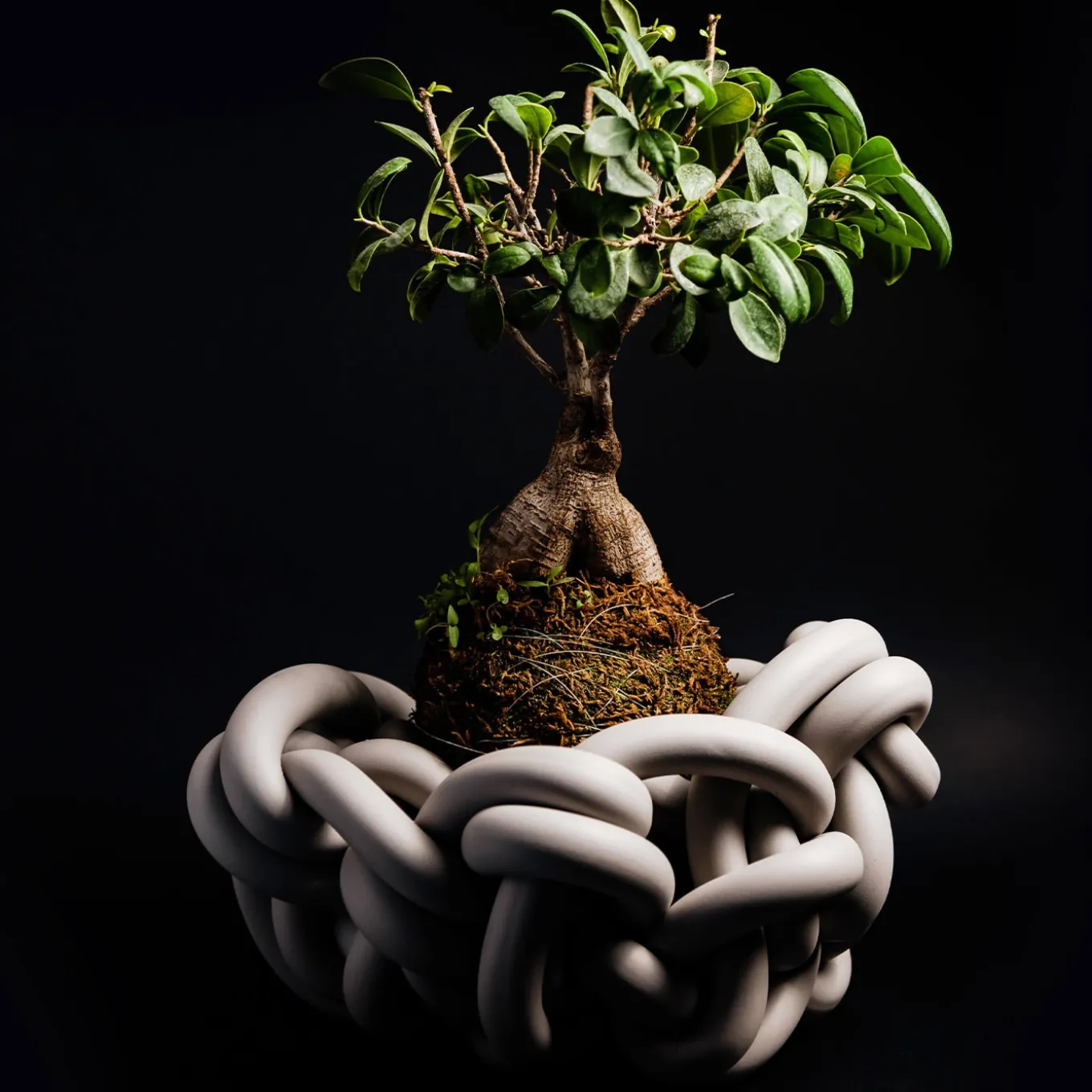 Colosso Pearl Gray Basket #1 by Rosanna Contadini