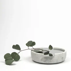 Connessioni Remote Container #2