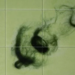 Core Square Green Coffee Table