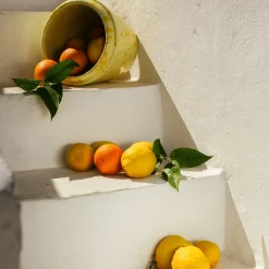 Cream and Yellow Ceramic Cachepot Vase