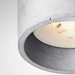 Cromia Small Gray Ceiling Lamp