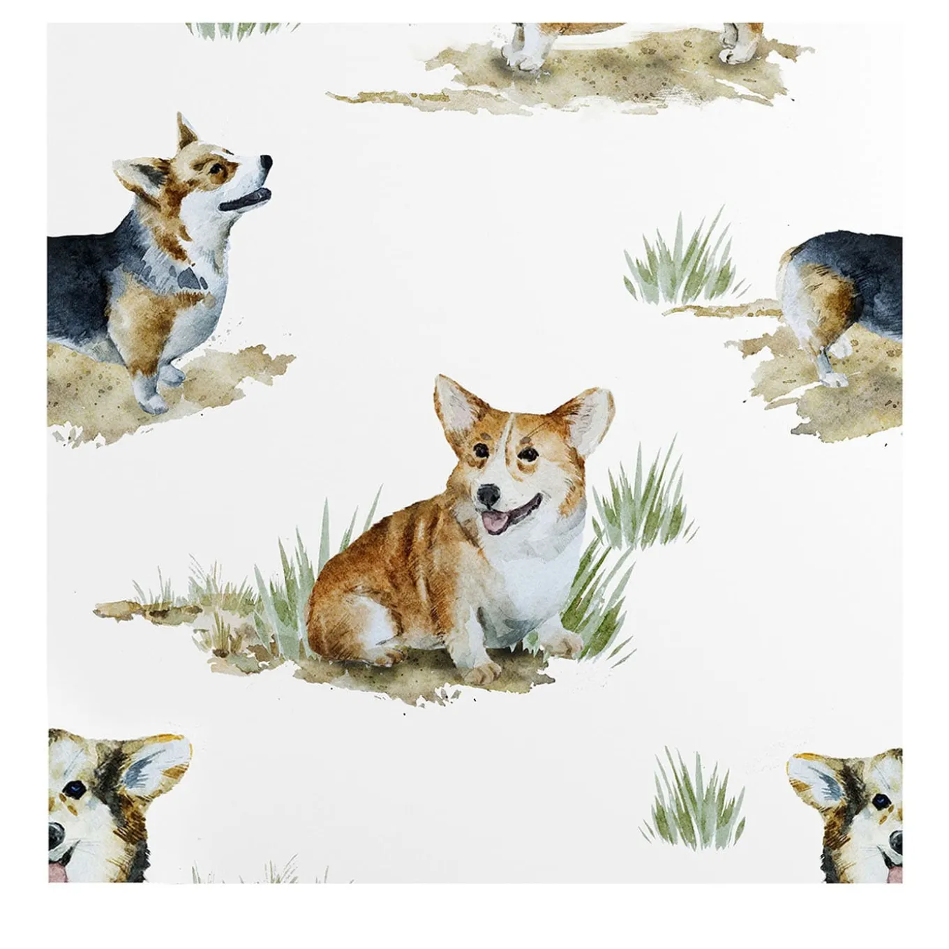 Cute Corgi Dog Wallpaper