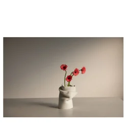 Daisies in Pove Limited Edition Photograph